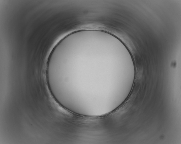 X0000093761486200711061059