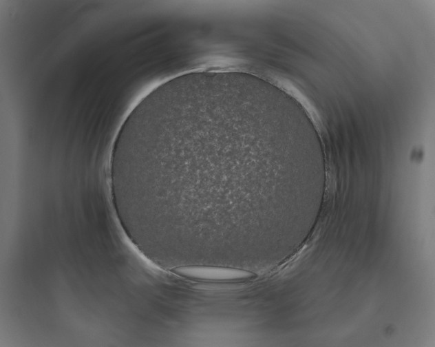 X0000093761487200711061059