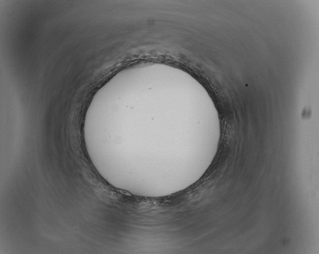 X0000093761489200711061059