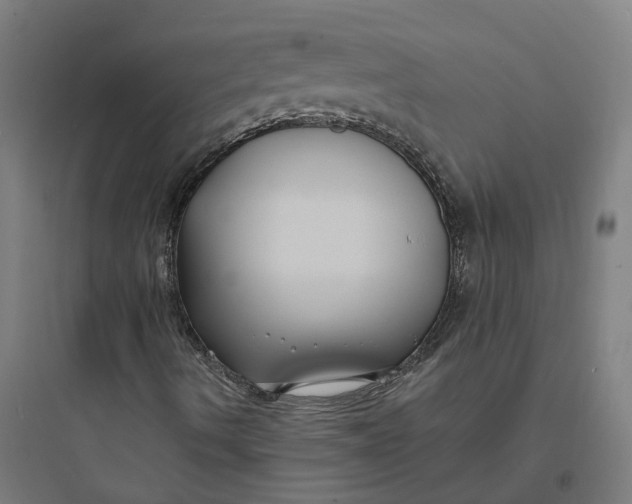 X0000093761490200711061059