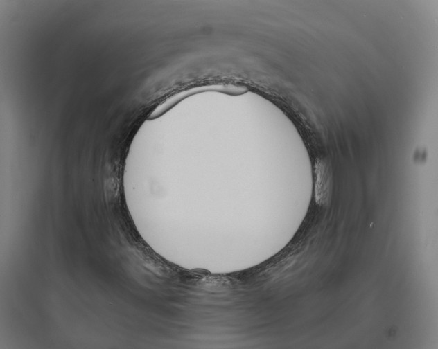 X0000093761491200711061059