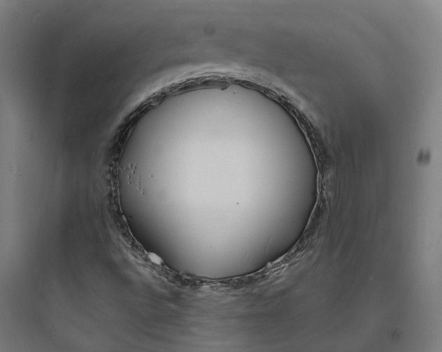 X0000093761496200711061059