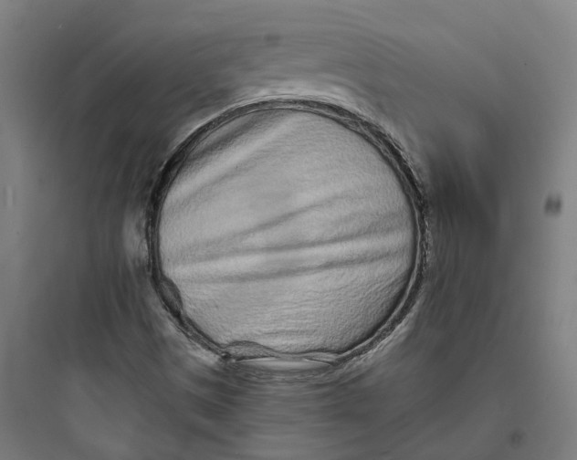 X0000093761497200711061059