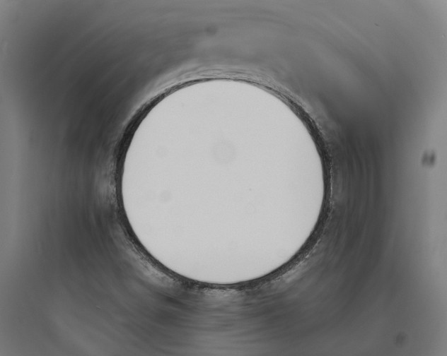 X0000093761498200711061059