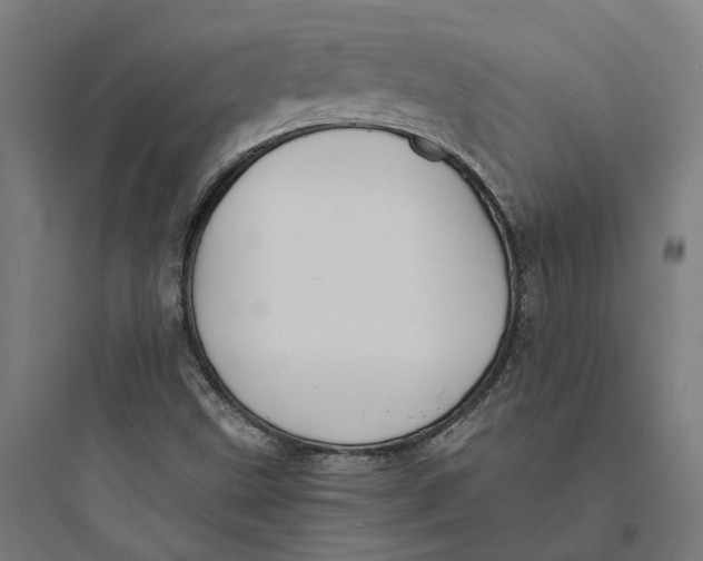 X0000093761499200711061059