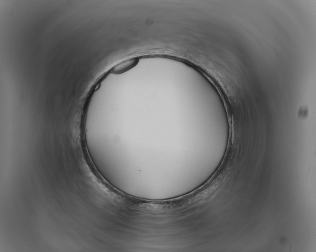 X0000093761500200711061059