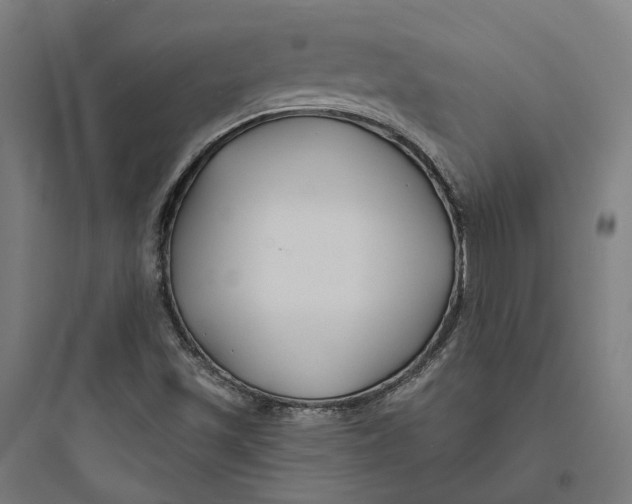 X0000093761501200711061059