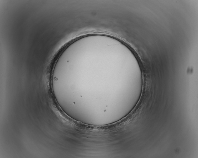 X0000093761503200711061059