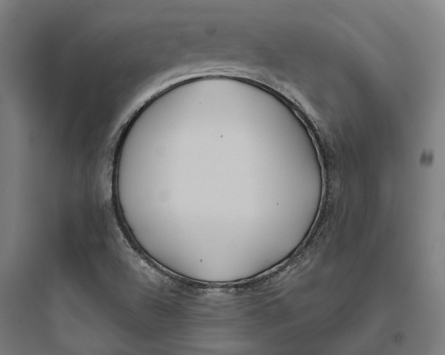 X0000093761504200711061059