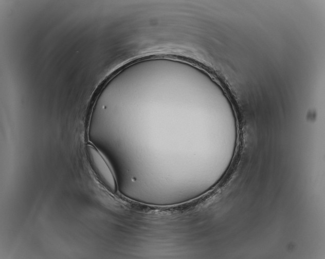 X0000093761505200711061059