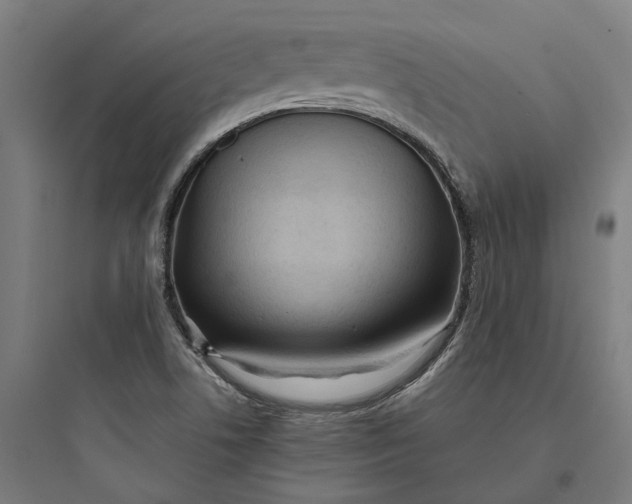 X0000093761506200711061059