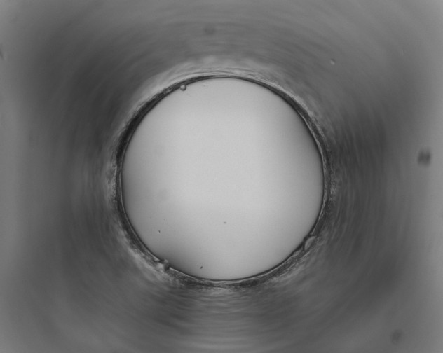 X0000093761507200711061059