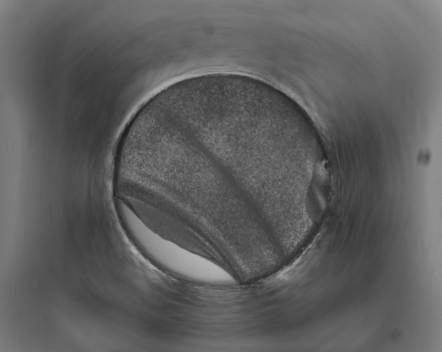 X0000093761508200711061059