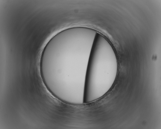 X0000093761512200711061059