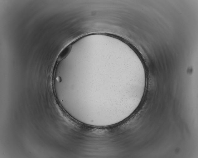 X0000093761513200711061059