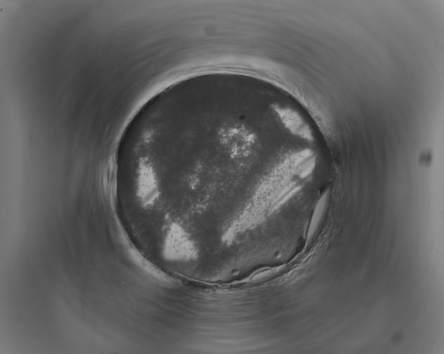 X0000093761515200711061059