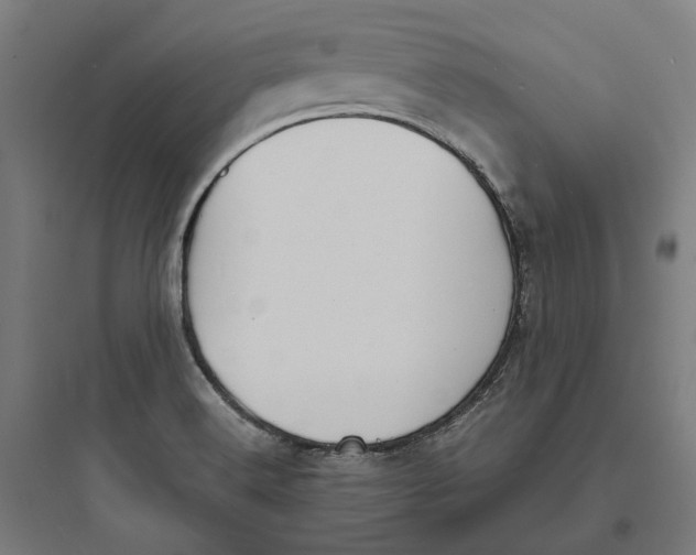 X0000093761516200711061059