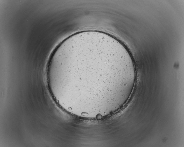 X0000093761517200711061059