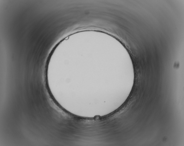 X0000093761518200711061059