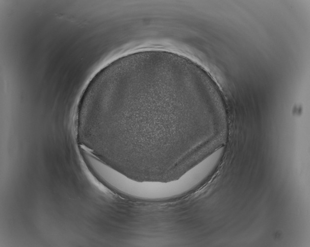 X0000093761519200711061059