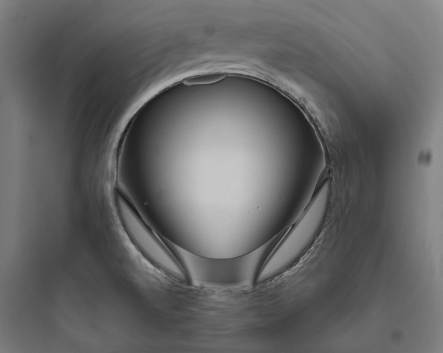 X0000093761520200711061059