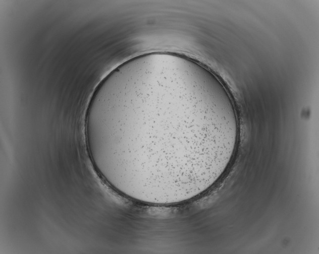 X0000093761521200711061059