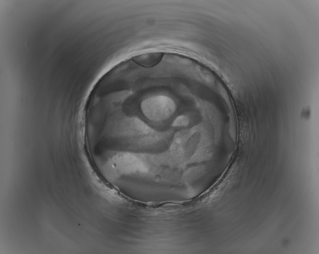 X0000093761522200711061059