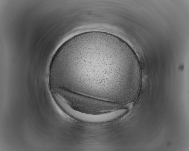 X0000093761523200711061059