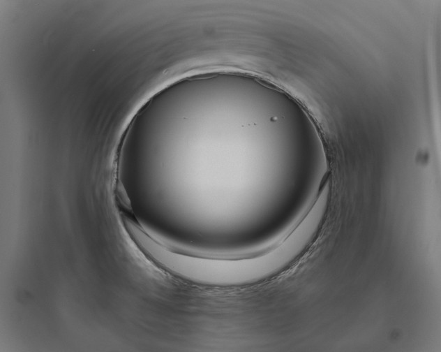 X0000093761524200711061059