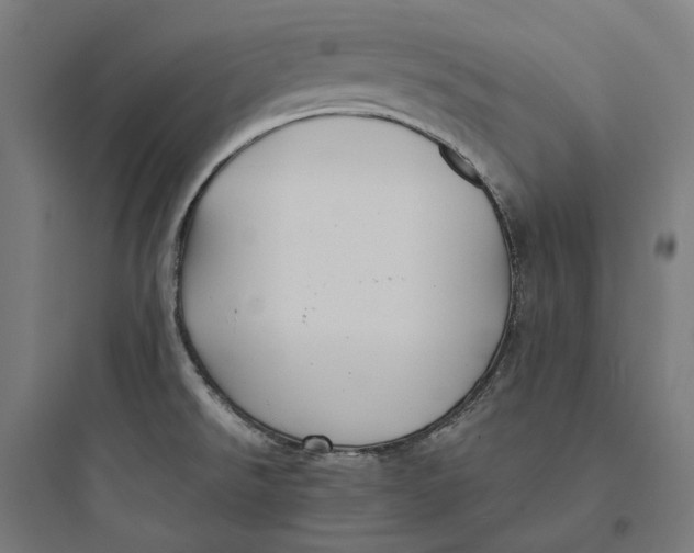 X0000093761526200711061059