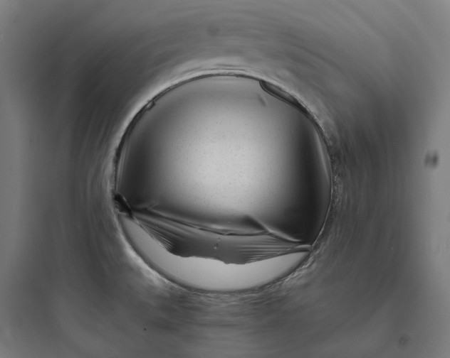 X0000093761527200711061059