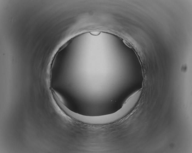 X0000093761528200711061059