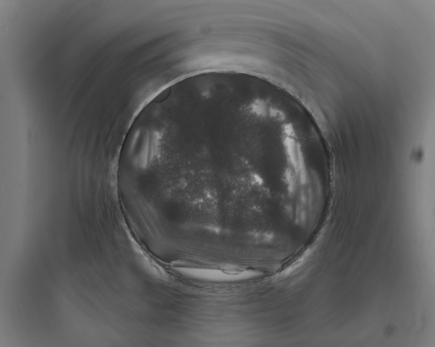 X0000093761529200711061059