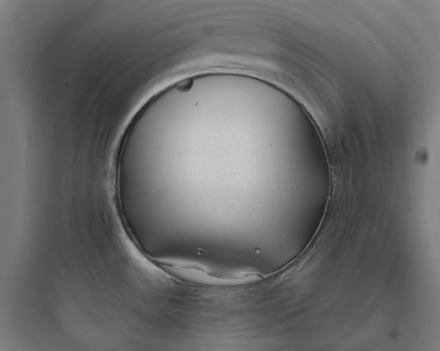 X0000093761531200711061059