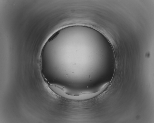 X0000093761532200711061059