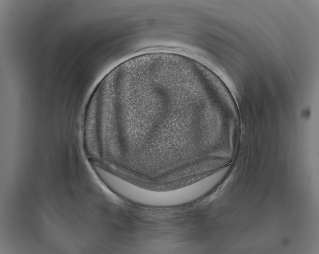 X0000093761533200711061059