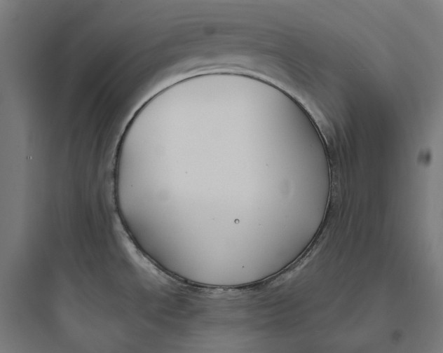 X0000093761534200711061059