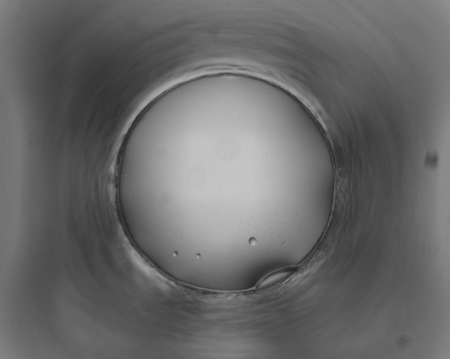 X0000093761535200711061059