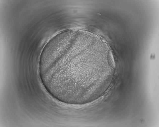 X0000093760002200711131159