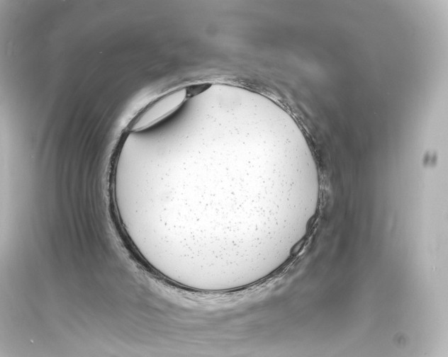 X0000093760006200711131159