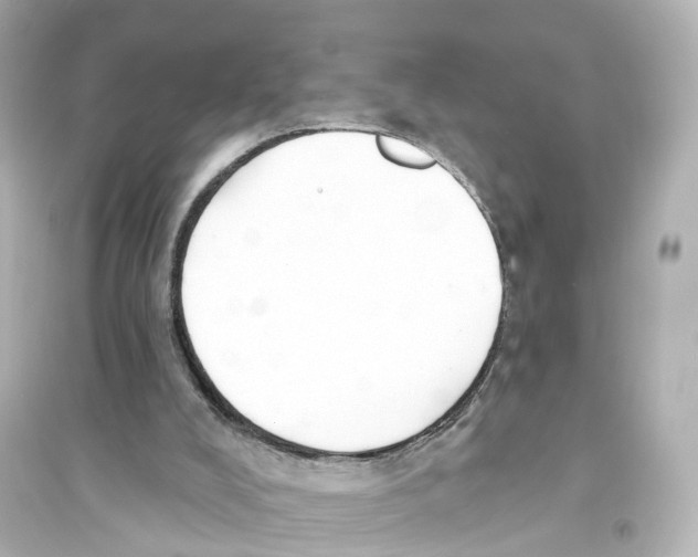 X0000093760008200711131159