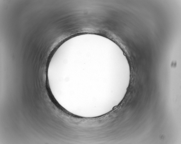 X0000093760011200711131159