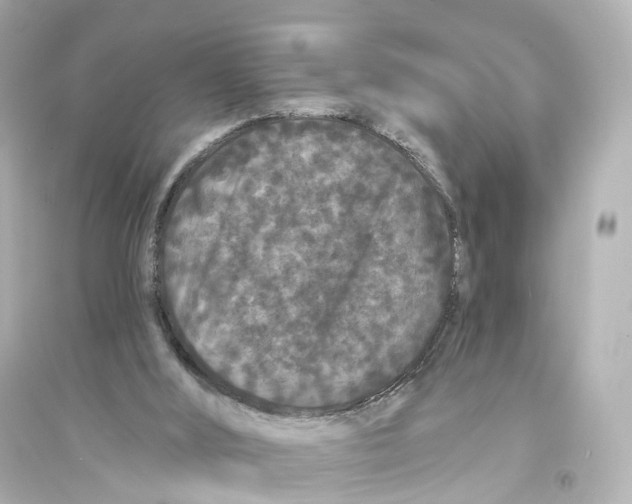 X0000093760012200711131159