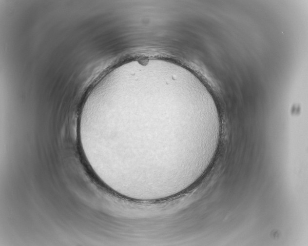 X0000093760014200711131159