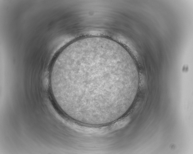 X0000093760016200711131159