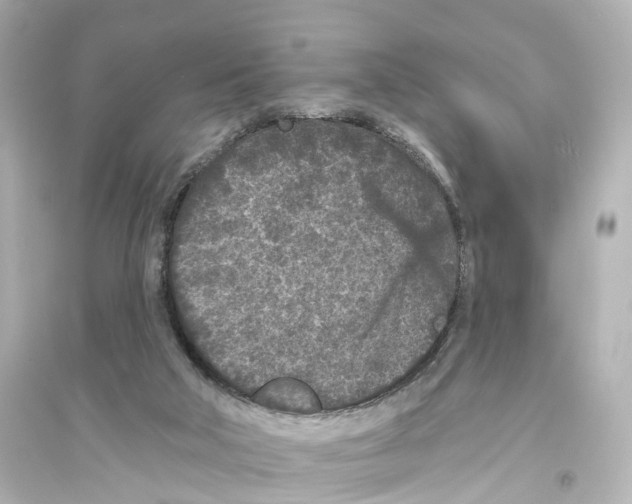 X0000093760018200711131159