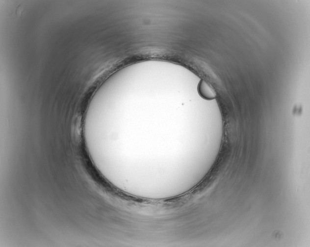 X0000093760024200711131159