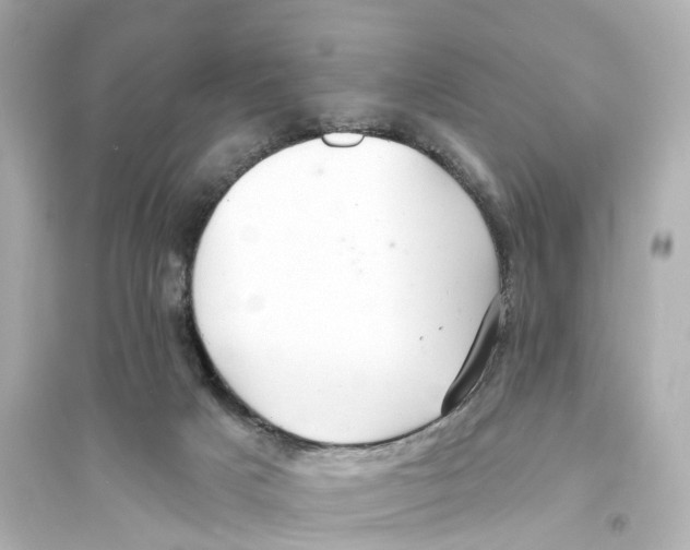 X0000093760025200711131159