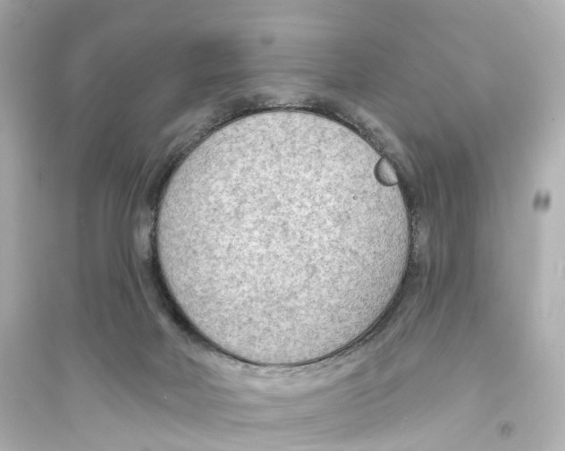 X0000093760026200711131159