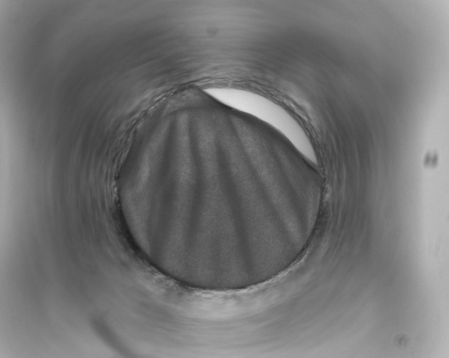 X0000093760029200711131159